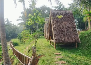 Pemdes Bandung Segera Launching Mina Agrowisata Bukit Sinyonya – Warga Berita 1 8294fbec B05d 4a17 98af 91aebbaefb60.jpg