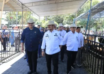 Produksi Ternak Nasional 678x381 1.webp.webp