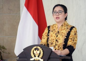 Puan 5.jpg