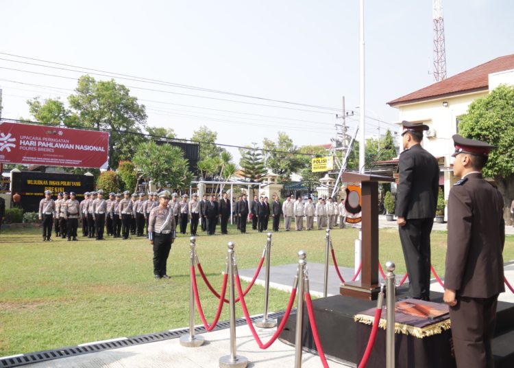 Whatsapp Image 2023 11 10 At 08.42.22.jpeg