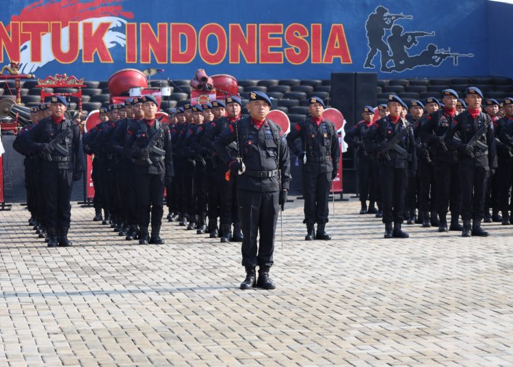 Whatsapp Image 2023 11 16 At 18.03.55.jpeg