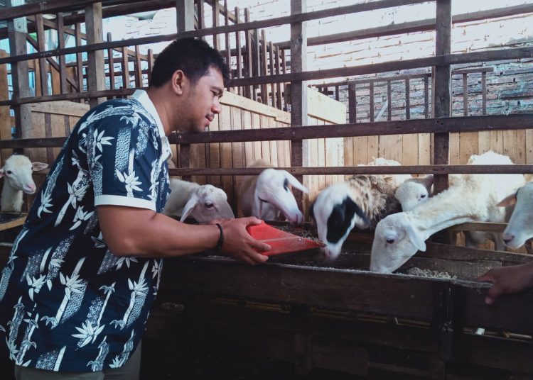 TIM PKUM UNDIP Berikan Stimulus Alat Produksi Pakan Komplet “Bebas Ngarit” untuk Kambing dan Domba di Kecamatan Bae, Kudus 1 Whatsapp Image 2023 11 20 At 07.54.16.jpeg