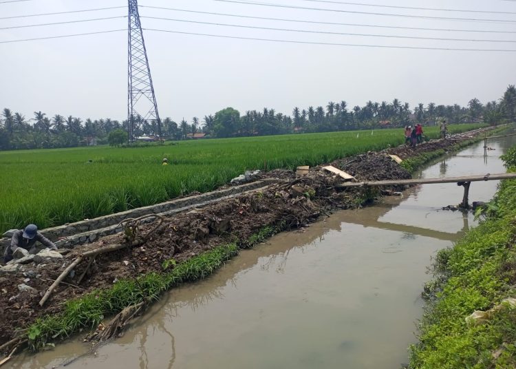 Whatsapp Image 2023 11 20 At 13.36.23.jpeg