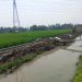 Saluran Tersier Bangunan Pisangan Kanan Dibangun, Begini Respon Petani – Warga Berita 8 Whatsapp Image 2023 11 20 At 13.36.23.jpeg