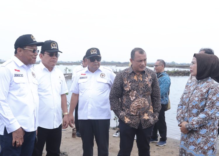 Dampingi Komisi IV DPR, Bupati Serang Sinergikan Program Perikanan – Warga Berita