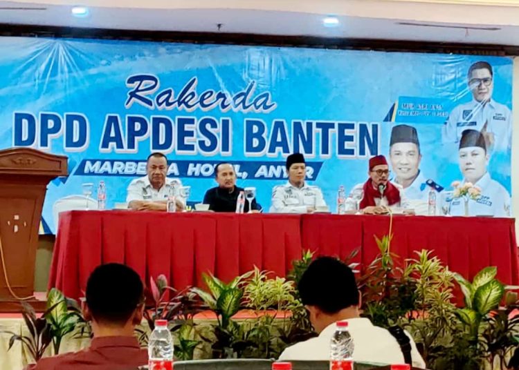 Apdesi.jpeg