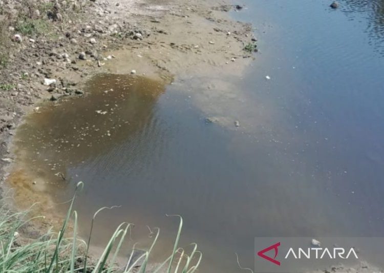 Industri alkohol diduga cemari Bengawan Solo