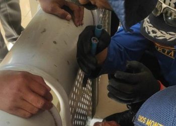 Gegara Masukkan Jari ke Lubang Kursi dan Tak Bisa Lepas, Petugas Damkar Kota Yogya Pun Turun Tangan » Warga Berita