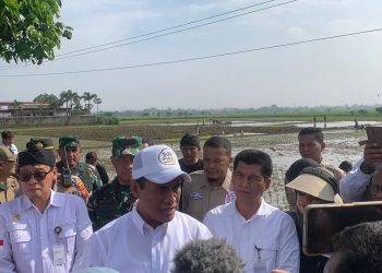 Kunker di Bandung, Mentan Amran Sulaiman Pastikan Stok Pangan di Akhir Tahun Aman Meski Dilanda El Nino