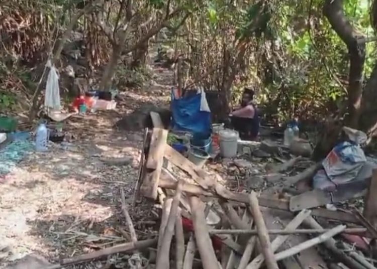 Cegah Perburuan Badak, BTNUK Bongkar Gubuk Liar di Sanghiyang Sirah – Warga Berita