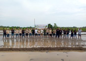 Gempita Gerakkan Petani Milenial Lakukan Percepatan Tanam Padi di Bulukumba untuk Jaga Produktivitas