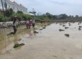 Masuk Masa Tanam, Petani di Carenang Keluhkan Sulit Cari Pupuk – Warga Berita