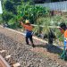 131 titik rawan longsor di jalur kereta Pantura Jateng 9 131 titik rawan longsor di jalur kereta Pantura Jateng