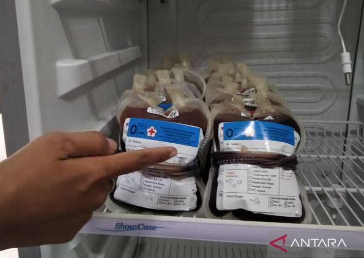 PMI Kudus miliki stok 348 kantong darah