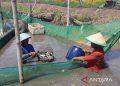 Cilacap susun naskah akademik raperda pengelolaan perairan darat 15 Cilacap susun naskah akademik raperda pengelolaan perairan darat