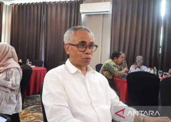Wimboh : Ekonomi Indonesia didukung permintaan dalam negeri