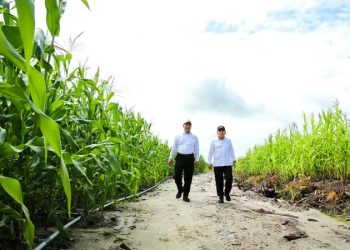 Dikeroyok Cak Imin dan Mahfud, Mentan Amran Beberkan Sukses Food Estate