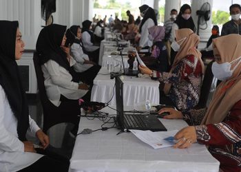 Rekrutmen CASN 2024 Difokuskan untuk Pemenuhan Tenaga Guru dan Kesehatan » Warga Berita