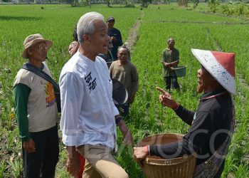 Lebih Baik Kembangkan Ternak Sendiri » Warga Berita 9 Lebih Baik Kembangkan Ternak Sendiri » Warga Berita