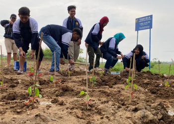 Dukung Pangan, KKN Unikal Klego 1 Tanam Tumbuhan