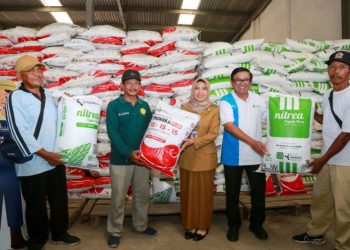 Pemerintah gelar Gebyar Diskon Pupuk
