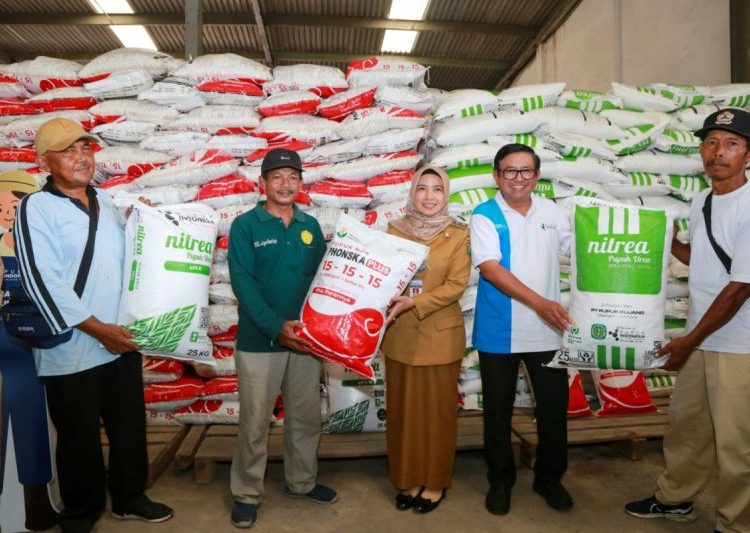 Pemerintah gelar Gebyar Diskon Pupuk