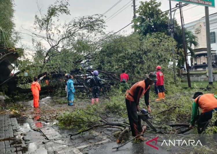 BPBD Surakarta antisipasi risiko bencana di musim hujan 1 BPBD Surakarta antisipasi risiko bencana di musim hujan
