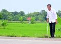YLBHI Desak Presiden Jokowi Hentikan Praktik Buruk Pelanggaran Konstitusi dan Demokrasi » Warga Berita