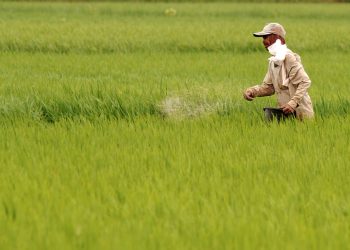 Kornas Gempita Dukung Tambahan Pupuk Subsidi Melalui ABT 2024, Harap DPR-Kemenkeu Setujui