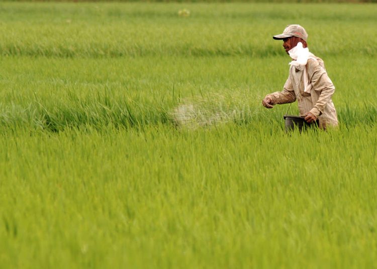 Kornas Gempita Dukung Tambahan Pupuk Subsidi Melalui ABT 2024, Harap DPR-Kemenkeu Setujui