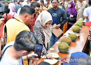 Pemkab Pekalongan siapkan Rp2,5 M bangun infrastruktur ke petani durian 1 Pemkab Pekalongan siapkan Rp2,5 M bangun infrastruktur ke petani durian