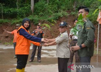 Pramuka Batang tanam 1.000 bibit pohon jaga kelestarian alam