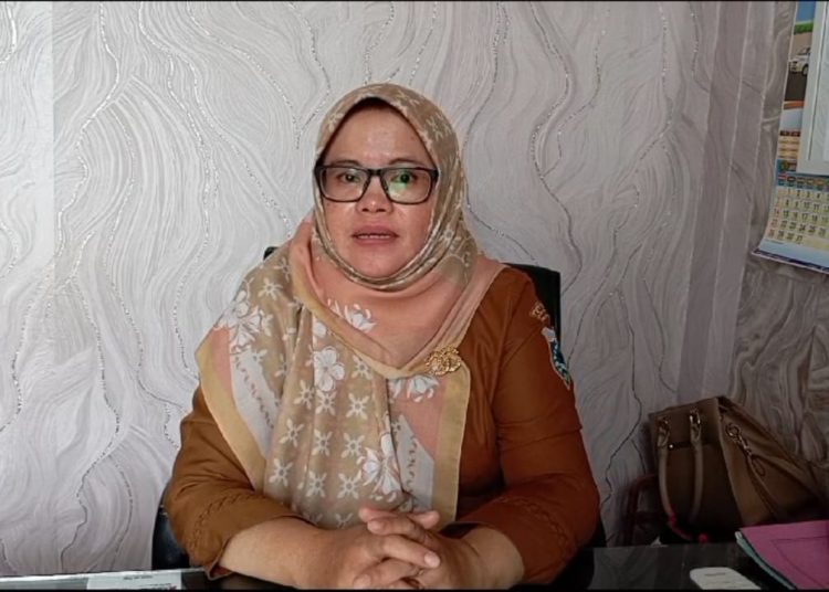 Awal Tahun 2024, Demam Berdarah di Kabupaten Pandeglang Capai 172 Kasus – Warga Berita