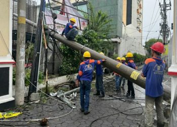PLN fokus percepatan pemulihan pasokan dampak cuaca ekstrem