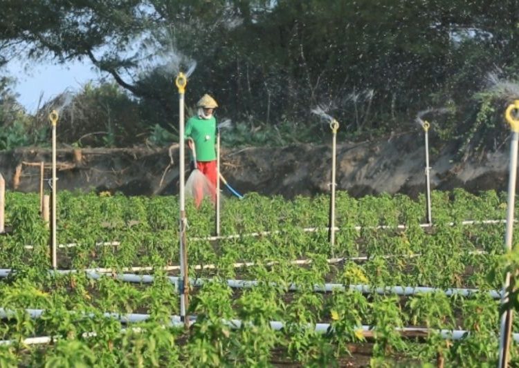Sambut 2024, PLN Jateng dan DIY optimistis warga makin sejahtera 1 Sambut 2024, PLN Jateng dan DIY optimistis warga makin sejahtera