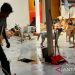 Polrestabes Semarang upayakan perawatan lanjutan ratusan anjing