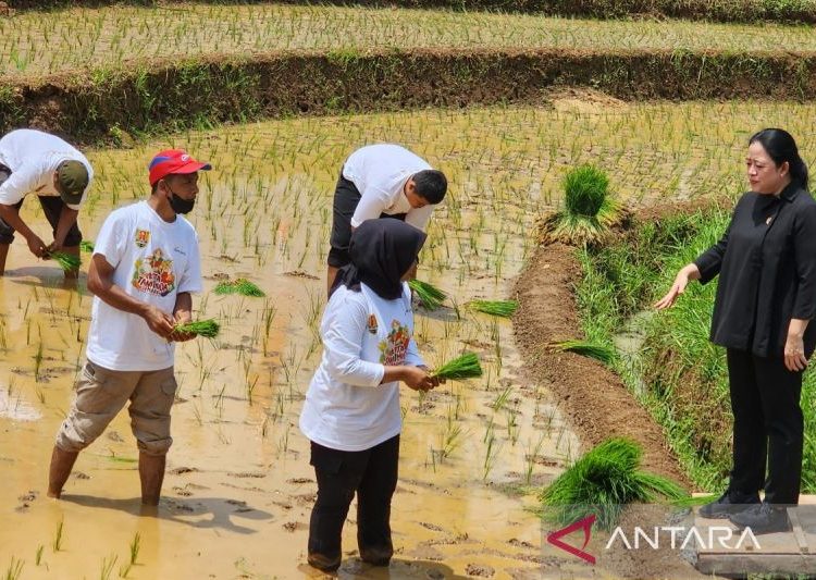 Puan berharap produksi pertanian melimpah dan petani sejahtera
