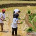 Puan berharap produksi pertanian melimpah dan petani sejahtera 9 Puan berharap produksi pertanian melimpah dan petani sejahtera