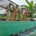 Pemkot Pekalongan intensifkan perawatan IPAL cegah pencemaran 9 Pemkot Pekalongan intensifkan perawatan IPAL cegah pencemaran