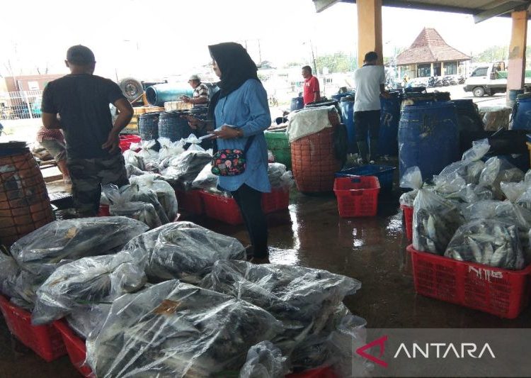 Realisasi retribusi perikanan Kabupaten Batang Rp3,29 miliar