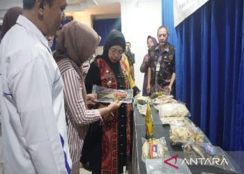 Kemenkop lakukan pengembangan SDM UMKM pengolahan ikan di Batang