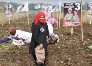 Isteri Capres No 3 Tanam Bawang di Jawa Timur, Ini Harapannya – Warga Berita