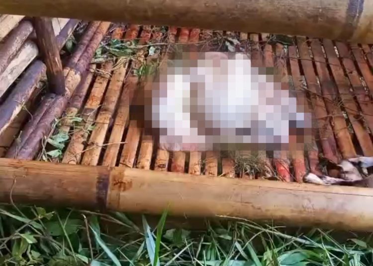 Sebelum Dicuri, 26 Kambing di Lebak Sempat Mau Dibeli – Warga Berita