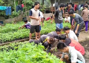 Regenerasi Petani Muda, DPKP Pandeglang Dorong Pertanian Milenial – Warga Berita