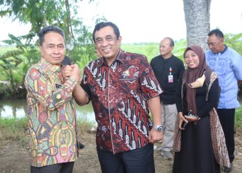 Optimalisasi Barang Milik Daerah, Pemkot Serang Kolaborasi Bersama NFA – Warga Berita