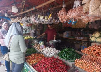 BPS Pusat Sebut Awal Tahun 2024 Terjadi Kenaikan Bawang di 300 Lebih Daerah – Warga Berita