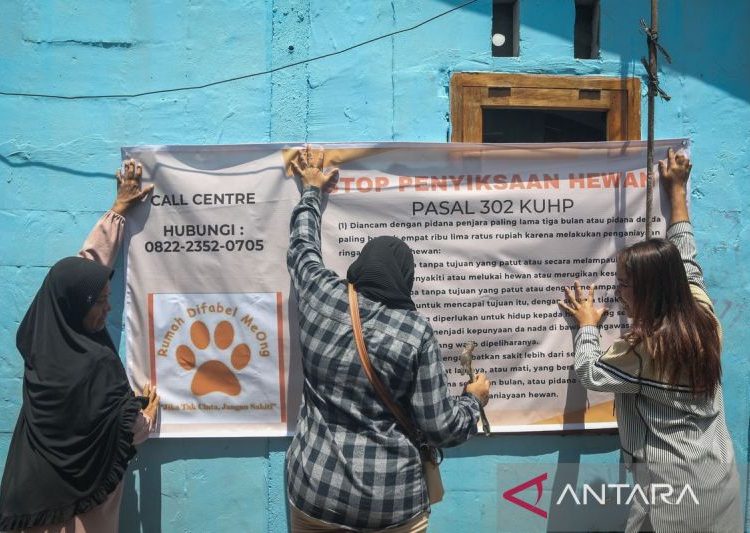 Edukasi setop penyiksaan hewan peliharaan