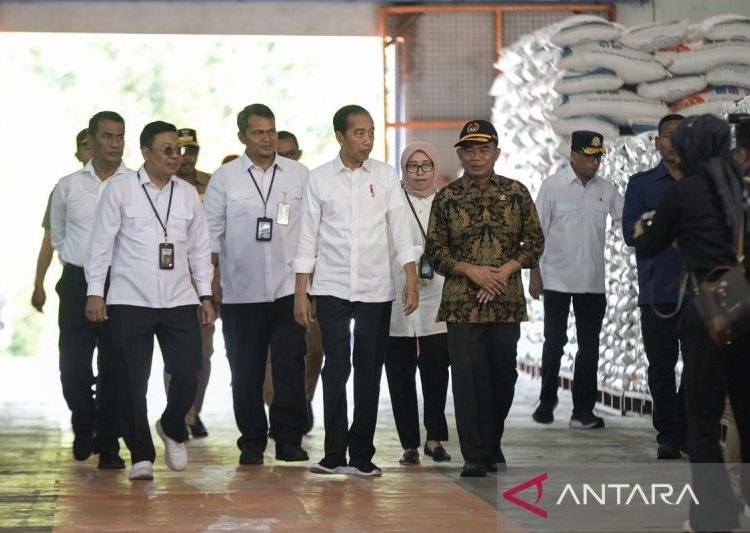 Presiden cek stok beras di gudang Bulog