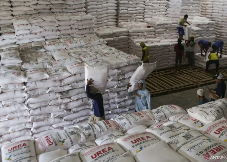 Kementan Jamin Ketersediaan Pupuk Masa Tanam II lewat Anggaran Rp14 T