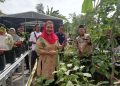 Gerakan pertanian perkotaan di Semarang semakin masif 10 Gerakan pertanian perkotaan di Semarang semakin masif
